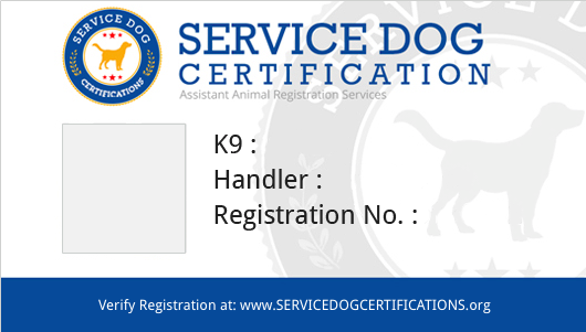 ADA Service Dog Card